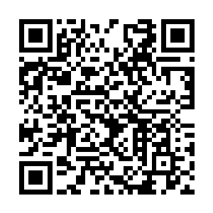 那可是我们王子殿下为白小仙小姐准备的求婚礼物二维码生成