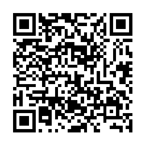 那可是整个红尘天外天也是排名前十的货真价实太子爷二维码生成