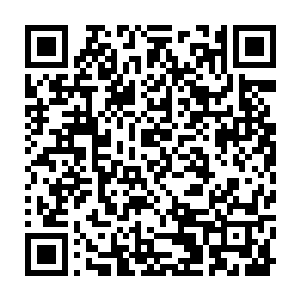 那可是比叶火雷洗地更长期的影响……不过前提是咱们征服这片大陆本源二维码生成