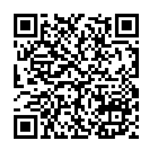 那可是沈家的军营啊……那可是沈家的军营啊……二维码生成