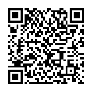 那可是沈砚山……是让精绝国对大燕俯首称臣的人二维码生成