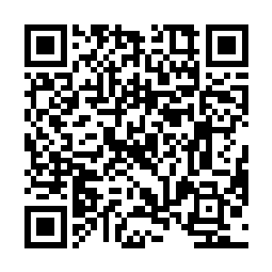 那可是瞬息能够从一个仙域冲到另一个仙域的恐怖存在二维码生成