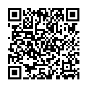 那可是花费了九九八十一天才炼制成功的莲花宝座啊二维码生成