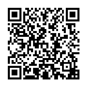 那可是让天星宫许多仙尊境老祖都为之忌惮的恐怖力量啊二维码生成