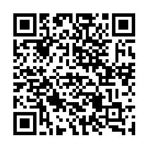 那可是需要成为绿级九品炼丹师才能够获得的殊荣二维码生成