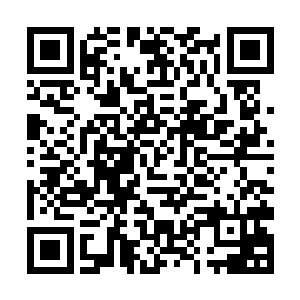那可是黄金顶阶的战士都不敢单独面对的强大的对手二维码生成