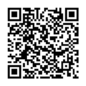 那可随意蠕动豁开的侧门只是这神妙禁制的一部分二维码生成