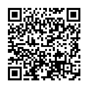 那台黑色的机甲已经彻底超出了他能抵抗的极限二维码生成