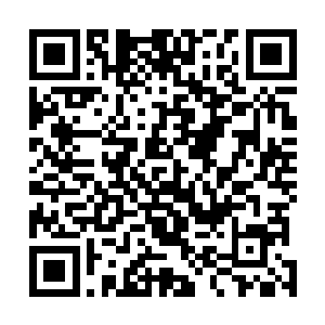 那叶欢是真的冲撞了小主……并非是奴婢要故意与她为难二维码生成