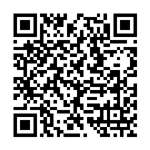那叶然自信的脸依旧时时刻刻浮现在她的脑海当中二维码生成