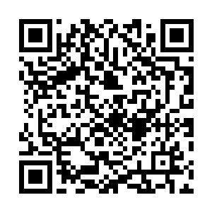 那叶秋还会不会如同之前所表述的那般为所有的患者负责二维码生成