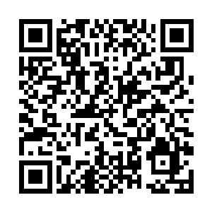 那各种兵器光芒交织而成的网已经将夏云杰罩了起来二维码生成