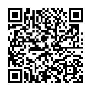 那合金钢材打造出来的尖锐的巨爪直接扣在了杨伯的脑袋上……二维码生成