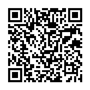 那名一直蒙面的神的黑衣人正在与一名年轻男子交手二维码生成