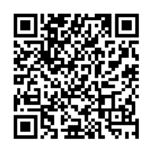 那名上忍一击得手直接将身上的所有彩弹全都扔在了地上二维码生成