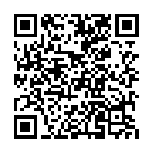 那名亚马逊女杀手是白象商会压箱底的超级高手二维码生成