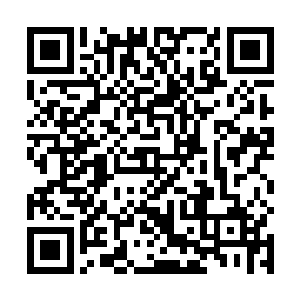 那名单中列有与石正和宗玉泉交好的一些开天境的名字二维码生成