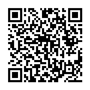 那名受到感染的小祭应该就躲在底层反应炉区域的核心处二维码生成