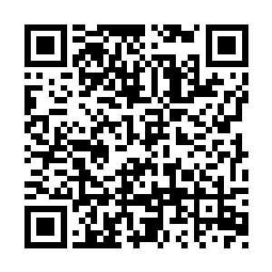 那名女警察有点紧张地把案件具体经过讲了一下二维码生成