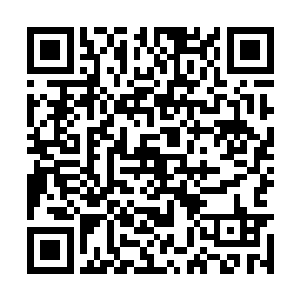 那名妩媚侍女几乎是哭丧着一张脸陪伴在剑尘身边二维码生成