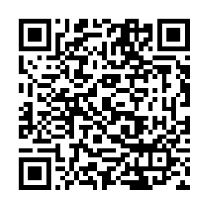 那名巫师学徒先行污蔑马文这一点是板上钉钉的事实二维码生成