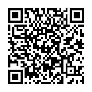 那名带头的大汉感到自己的手掌绝对骨头都粉碎了二维码生成