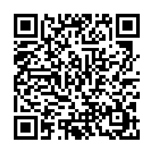 那名很少跟其他承包商交流的白人姑娘打个响指二维码生成