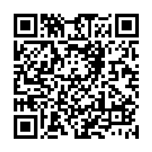 那名暗影蜘蛛会的杀手脸色难看地看着火光滔天的别墅二维码生成