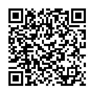 那名狙击手的脑袋瞬间爆出一蓬血雨黄白相间的脑浆四溅二维码生成