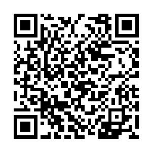 那名白衣人和他身后的十名青衣人全都对夏天鞠躬二维码生成