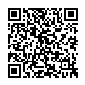 那名白衣弟子刚刚勉强的挡住了绿色的巨拳攻击二维码生成