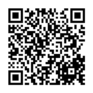 那名经理模样的人直接对跟过来的保镖下达了命令二维码生成