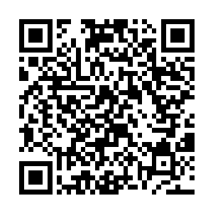 那名被杰西卡打飞的奴仆不知道从什么时候赶了回来二维码生成