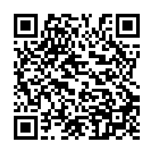 那名青年人直接被剑尘这大力的一腿踢的倒飞而去二维码生成