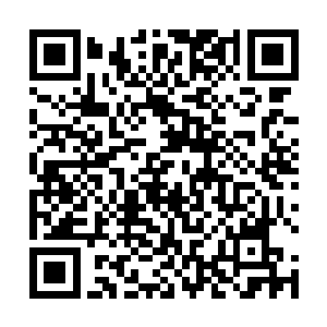 那名骑着变异土狼的豺狼人副官挥舞着一根粗壮的木棒二维码生成