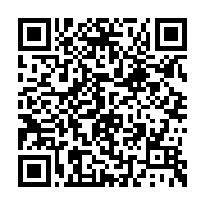 那名黑衣枪手倒是如秦洛所预计的那般回过了头二维码生成