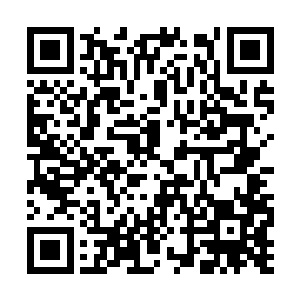 那后来如来佛祖将孙悟空压在五行山下也是真的吗二维码生成