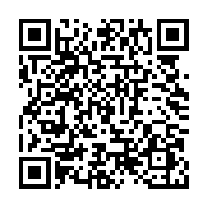 那后面说不定会发生什么他们所无法预料的事情二维码生成