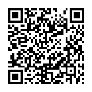 那呼啸的北风让仪阳港外海的波浪变得汹涌了起来二维码生成