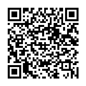 那哭喊嘶吼着的冤魂恶鬼完全无视了哮天犬的存在二维码生成