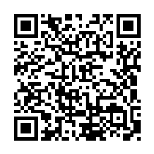 那噶扎以前跟我说过黑巫门派抓金蚕的事情……二维码生成