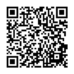 那四个半步地级的高手根本就没有想到夏天会回头反击二维码生成