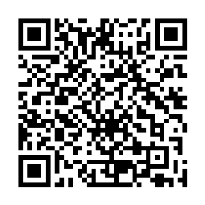 那四位仙人的身体内所有能量很快就被我吸收得干干净净二维码生成