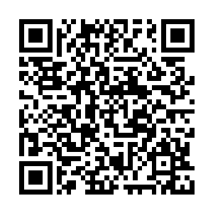 那四位收割者偷袭白若寒的时候他就在一旁偷看二维码生成