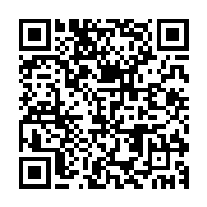 那四位黑暗议会的成员和两位埃及木乃伊脸上全部露出了喜色二维码生成