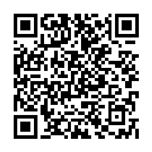 那四只圣兽见脚下渺小的霍君白对它们不避不让二维码生成