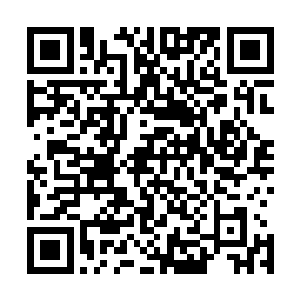 那四只隐藏在灌木丛中的蜘蛛魔瞬间就像被切开的西瓜一样二维码生成