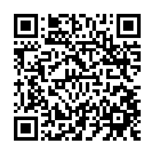 那困住它的气生根囚笼甚至已经被硬生生的腐蚀得断掉了一半多二维码生成
