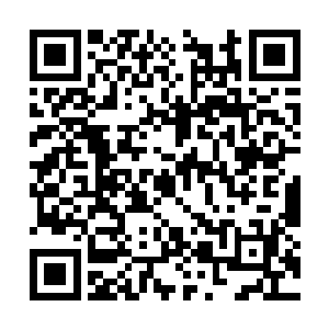 那在仙云周围的十二名神情呆滞的仙人也猛然一震二维码生成