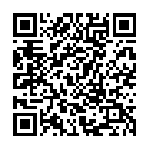 那在前天晚上和越门主发生争执甚至刺伤了越门主二维码生成